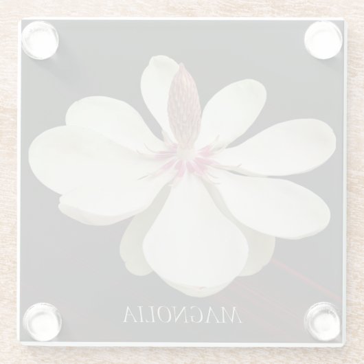 マグノリア日本の開花フローラ ガラスコースター (裏面)