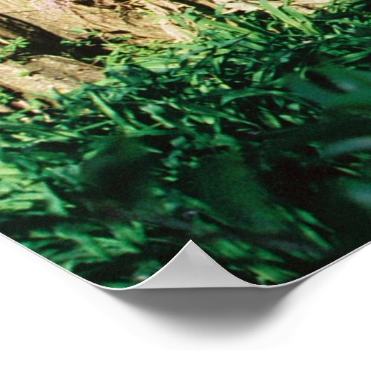 マグノリア橋 ポスター (角)