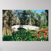 マグノリア橋 ポスター (正面)