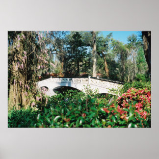 マグノリア橋 ポスター