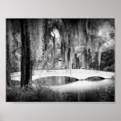 マグノリア橋 ポスター (正面)