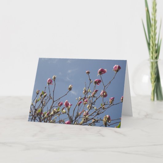 マグノリア空白の挨拶 カード (正面)