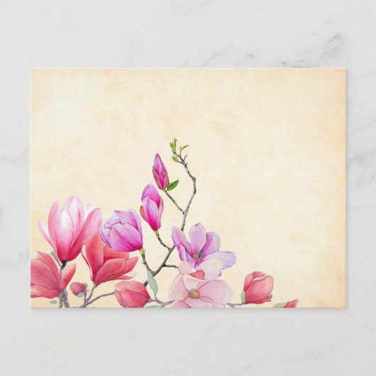 マグノリア花の水絵画色のはがき ポストカード (正面)