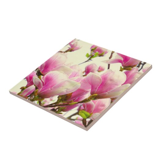 マグノリア花フローラ植物花 タイル (側面)