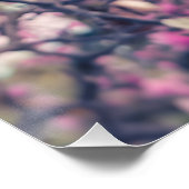 マグノリア花 ポスター (コーナー)