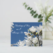 マグノリア葉書 ポストカード (スタンド正面)