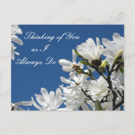 マグノリア葉書 ポストカード