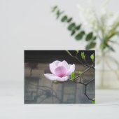 マグノリア葉書 ポストカード (スタンド正面)