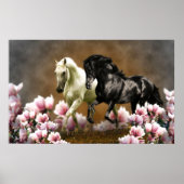 マグノリア路地 – ポスター (正面)