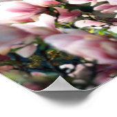 マグノリア路地 – ポスター (角)