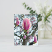 マグノリア開花と芽 ポストカード (スタンド正面)