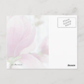 マグノリア開花と芽 ポストカード (裏面)