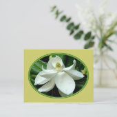 マグノリア開花はがき2 ポストカード (スタンド正面)