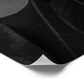 マグノリア開花イン白黒 ポスター (角)