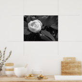 マグノリア開花イン白黒 ポスター (キッチン)