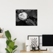 マグノリア開花イン白黒 ポスター (ホームオフィス)