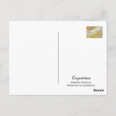 マグノリア開花水彩画E.Mashkina ポストカード (裏面)