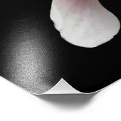 「マグノリア開花」写真プリント フォトプリント            (角)