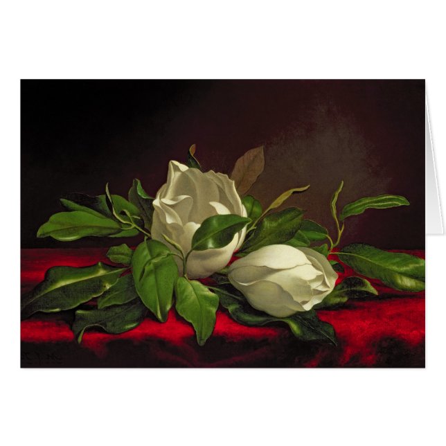 マグノリア (正面横)