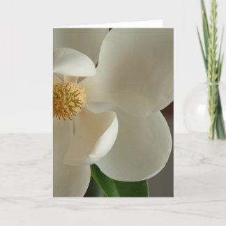 マグノリア2 カード