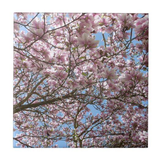 マグノリア4月 タイル (正面)