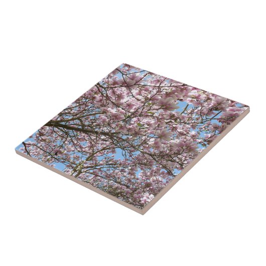 マグノリア4月 タイル (側面)