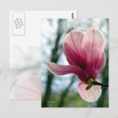 マグノリア・ウッズ ポストカード (正面/裏面)
