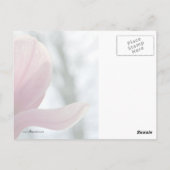 マグノリア・ウッズ ポストカード (裏面)