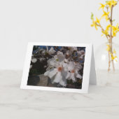 マグノリア カード (黄色い花)