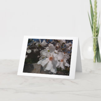 マグノリア カード