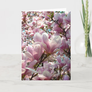 マグノリア カード