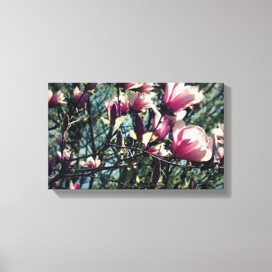 マグノリア キャンバスプリント (正面)