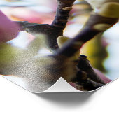 マグノリア フォトプリント            (角)