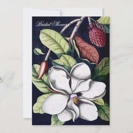 マグノリア-ブライダルシャワーの招待状 招待状 (正面)