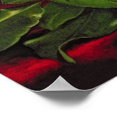 マグノリア ポスター (角)