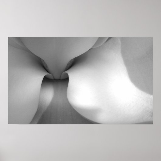 マグノリア ポスター (正面)