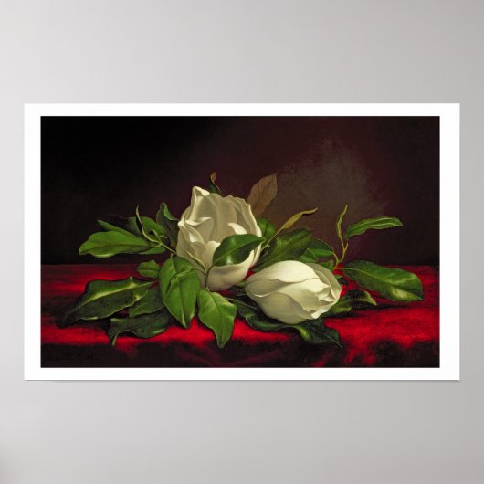 マグノリア ポスター (正面)