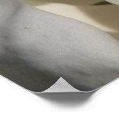 マグノリア ポスター (角)