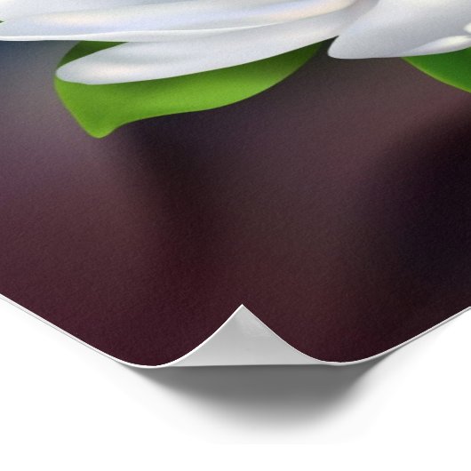 マグノリア ポスター (角)