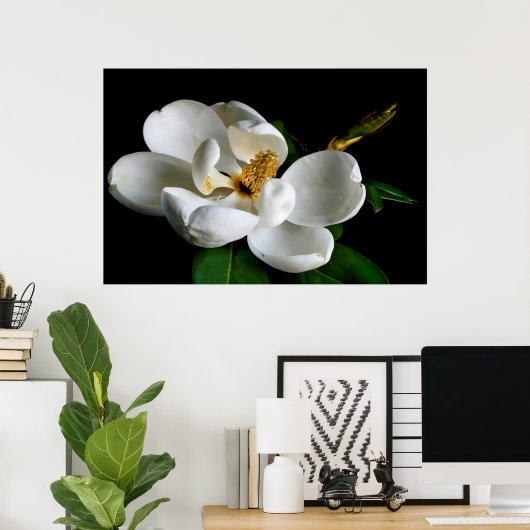 マグノリア ポスター (ホームオフィス)