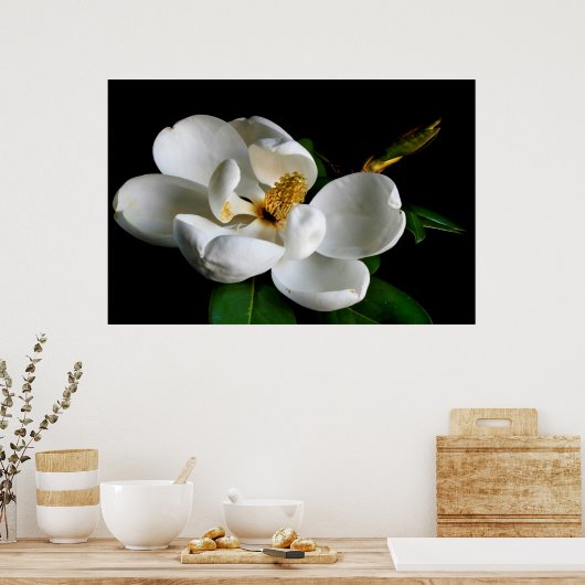 マグノリア ポスター (キッチン)