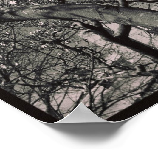 マグノリア ポスター (角)