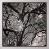 マグノリア ポスター (正面)