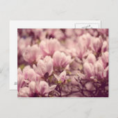 マグノリア ポストカード (正面/裏面)