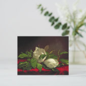 マグノリア ポストカード (スタンド正面)