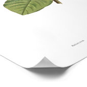 マグノリア・ユラン ポスター (角)