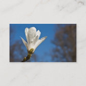 マグノリア 名刺 (裏面)