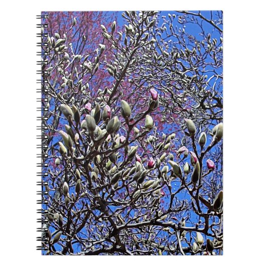マグノリア、塊の質量 ノートブック (正面)