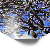 マグノリア、塊の質量 フォトプリント            (角)