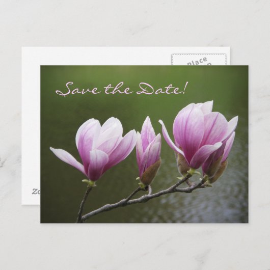 マグノリア、日にちを覚えておいて! 案内ポストカード (正面/裏面)